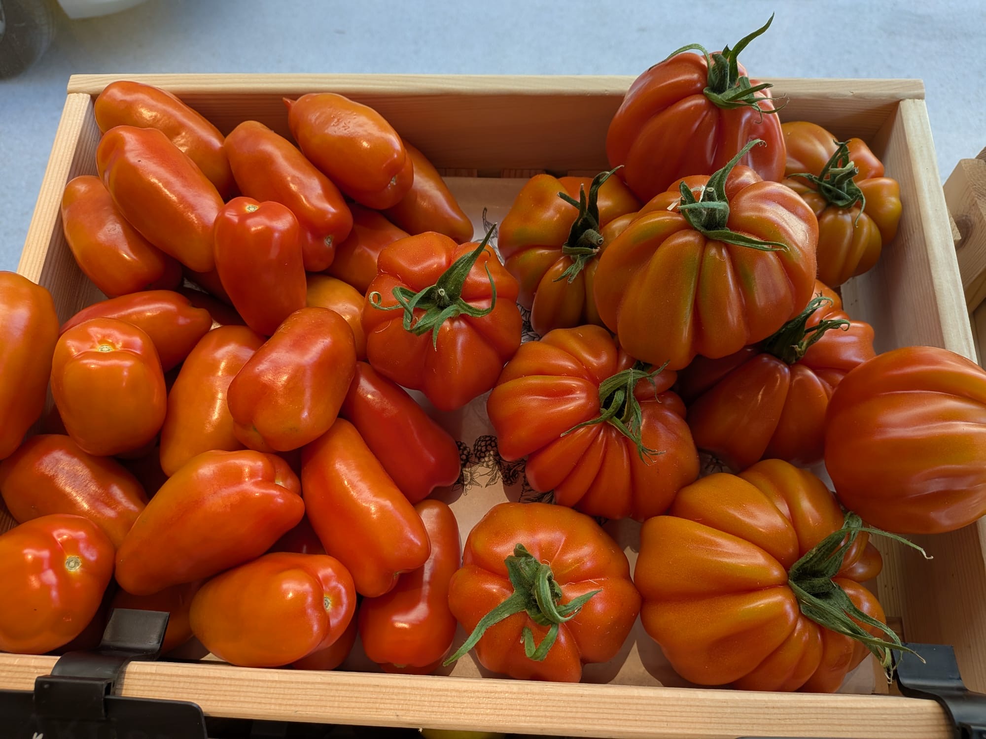 Tomaten
